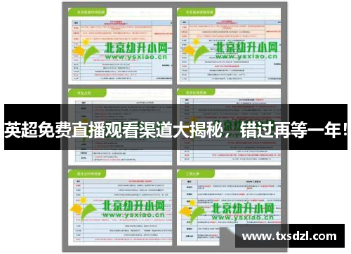 英超免费直播观看渠道大揭秘，错过再等一年！