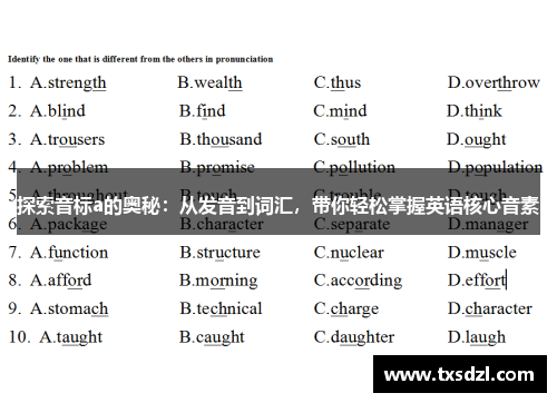 探索音标a的奥秘：从发音到词汇，带你轻松掌握英语核心音素