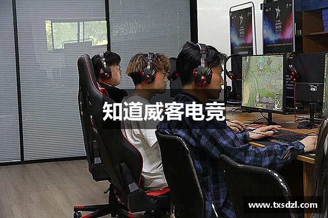 知道威客电竞